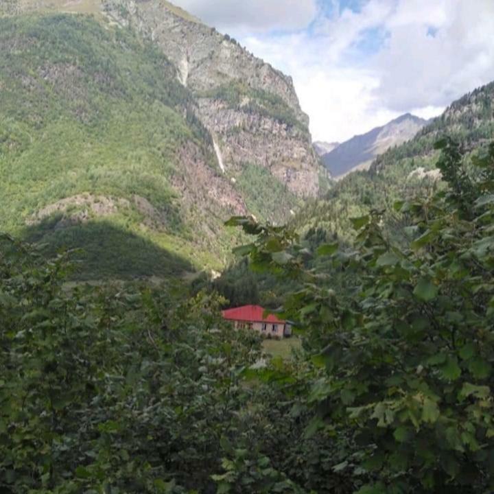Guest House Malkhaz Niguriani Zhabeshi Eksteriør bilde